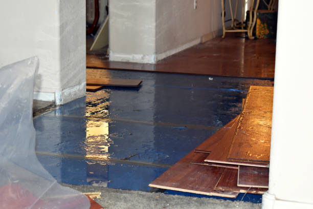 Professional Water Damage Restoration technician working in Bridgeport, AL